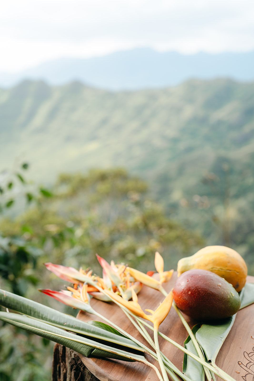 Lei Pīkake Lazy Susan (18")